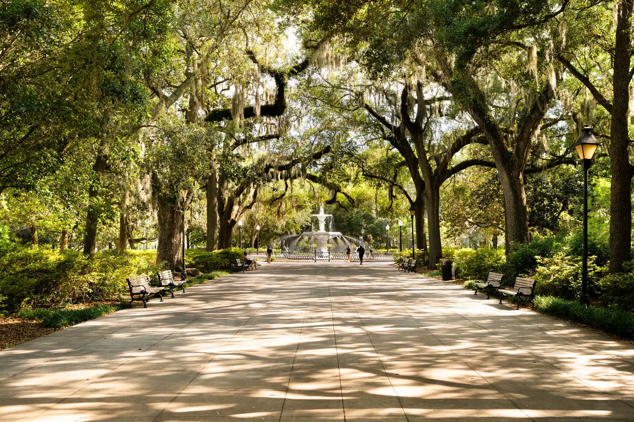 Oak-shaded walkway draped in Spanish moss leading to the Forsyth Park fountain in Savannah, Georgia